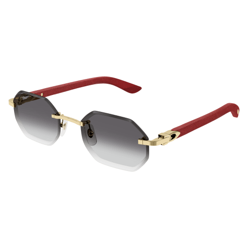 S CARTIER CT0439S-003