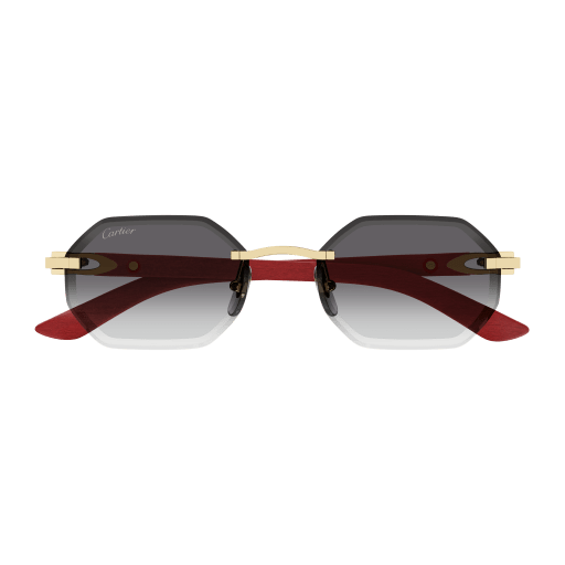 S CARTIER CT0439S-003