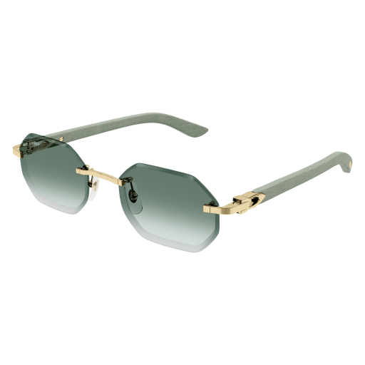 S CARTIER CT0439S-004
