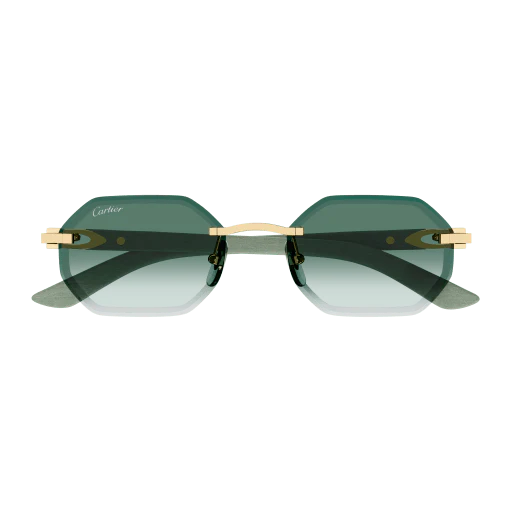 S CARTIER CT0439S-004