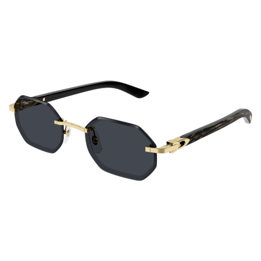 S CARTIER CT0439S-001