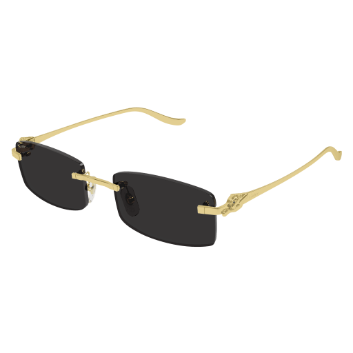 S CARTIER CT0552S-001